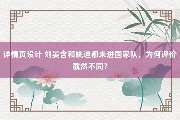 详情页设计 刘晏含和姚迪都未进国家队，为何评价截然不同？