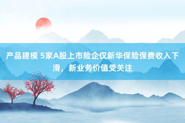 产品建模 5家A股上市险企仅新华保险保费收入下滑，新业务价值受关注