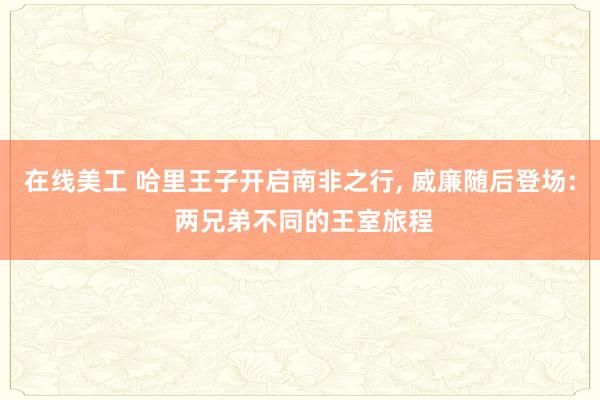 在线美工 哈里王子开启南非之行, 威廉随后登场: 两兄弟不同的王室旅程