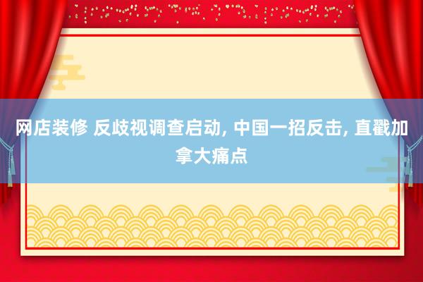 网店装修 反歧视调查启动, 中国一招反击, 直戳加拿大痛点